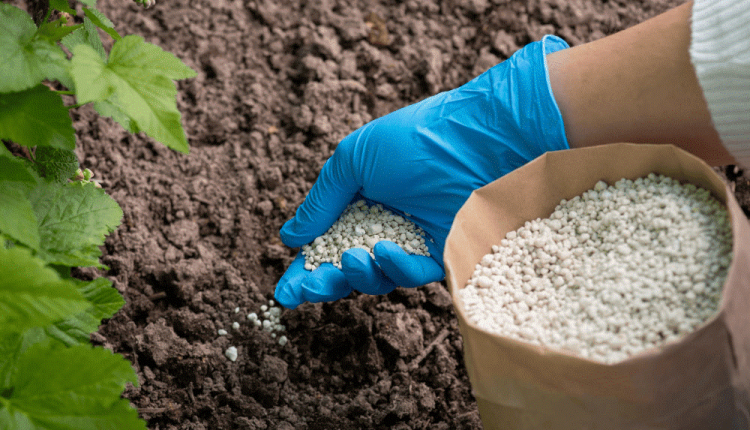 میزان مصرف اسید فسفریک در هکتار چقدر است؟-shimicaroon.com